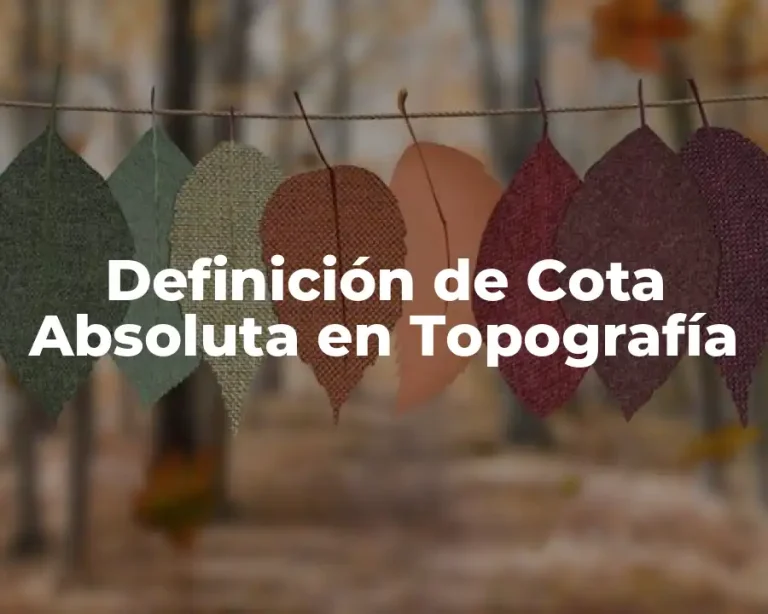 Definición de Cota Absoluta en Topografía