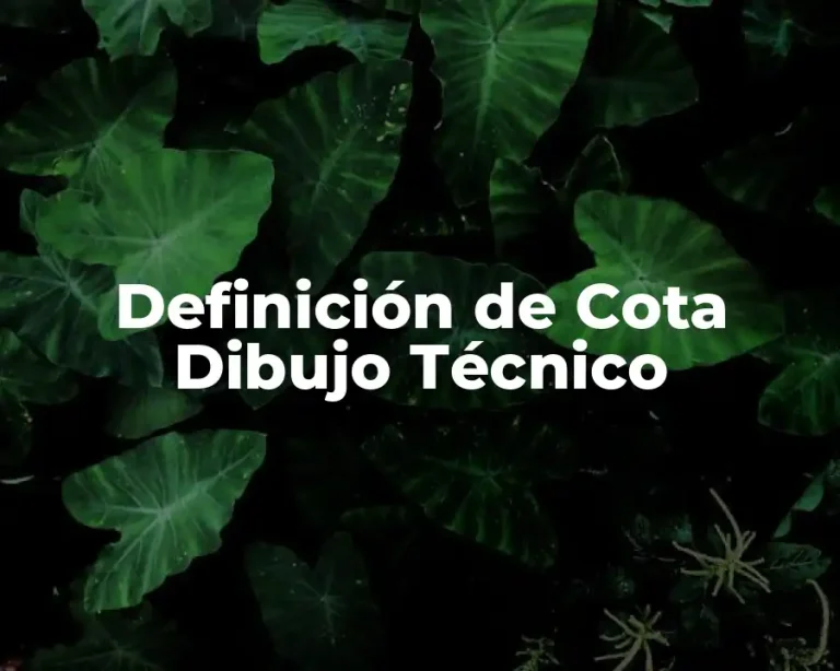 Definición de Cota Dibujo Técnico