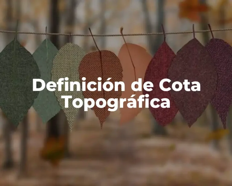 Definición de Cota Topográfica