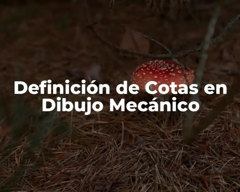 Definición de Cotas en Dibujo Mecánico