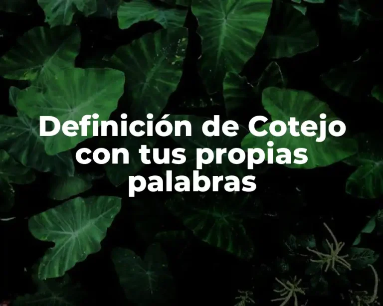 Definición de Cotejo con tus propias palabras