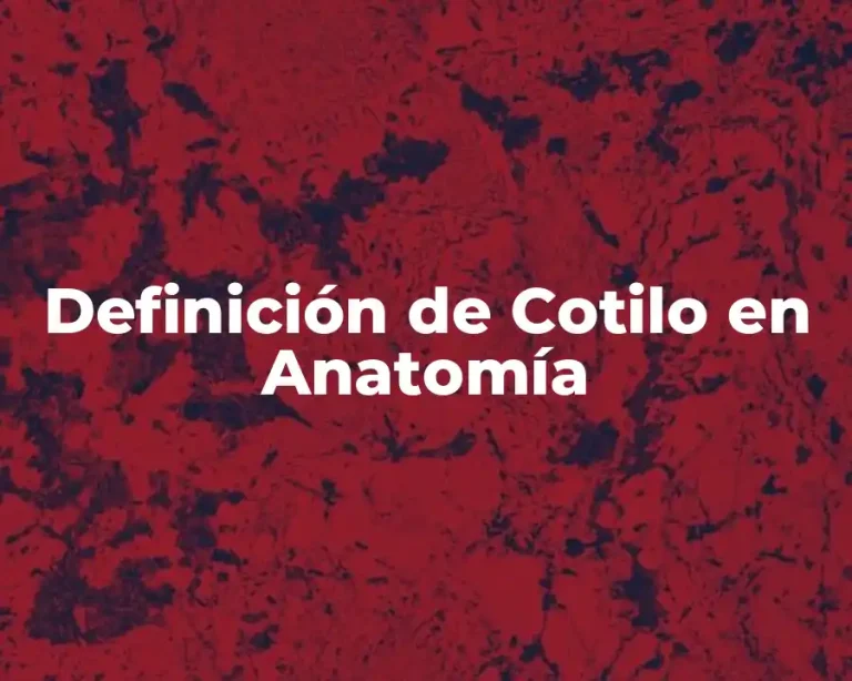 Definición de Cotilo en Anatomía