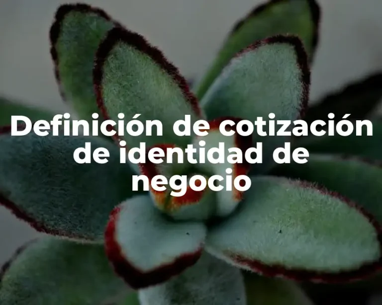 Definición de cotización de identidad de negocio