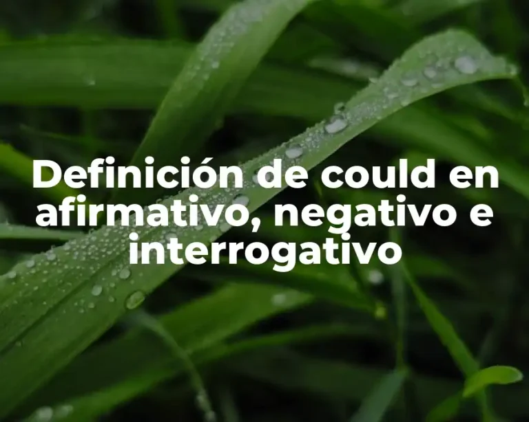 Definición de could en afirmativo, negativo e interrogativo