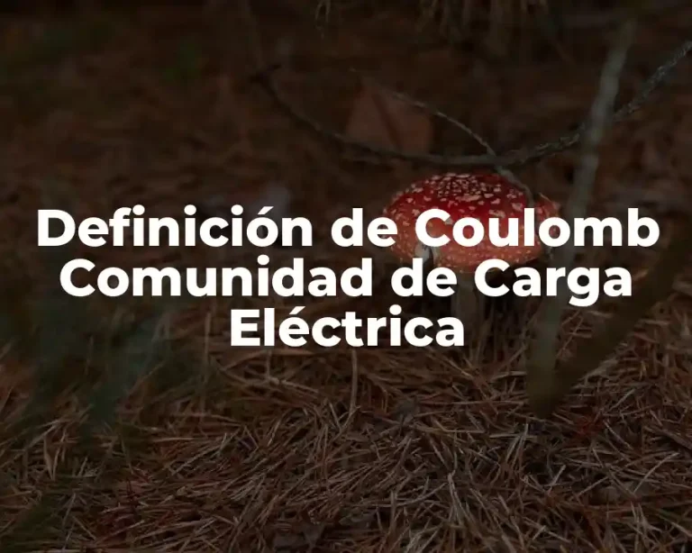 Definición de Coulomb Comunidad de Carga Eléctrica