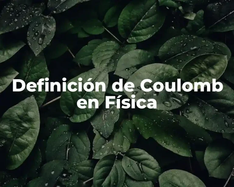 Definición de Coulomb en Física