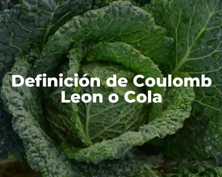 Definición de Coulomb Leon o Cola