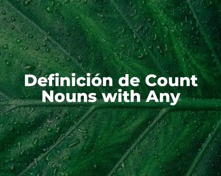 Definición de Count Nouns with Any