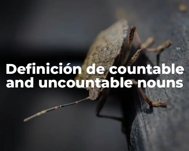 Definición de countable and uncountable nouns