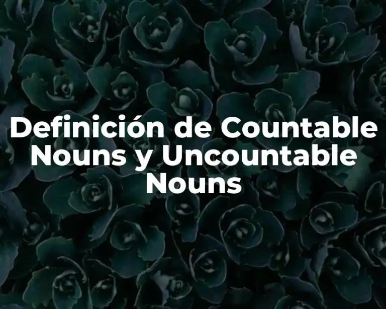 Definición de Countable Nouns y Uncountable Nouns