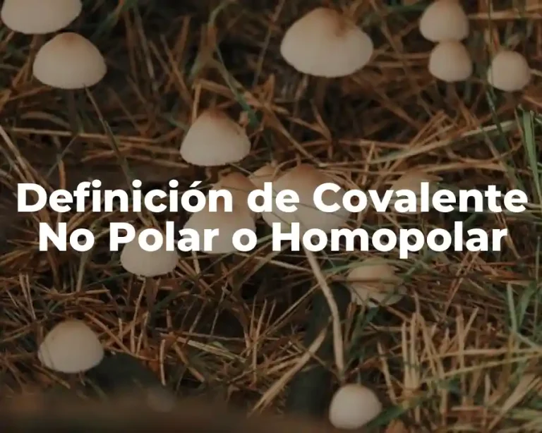 Definición de Covalente No Polar o Homopolar