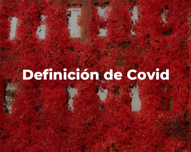 Definición de Covid