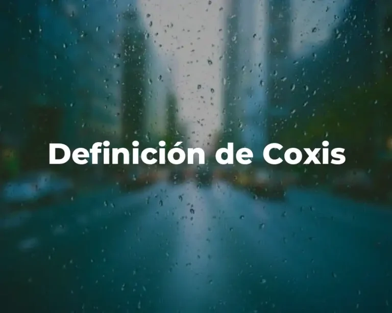 Definición de Coxis