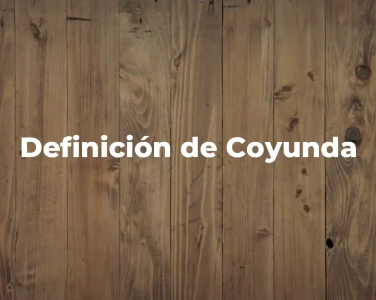 Definición de Coyunda
