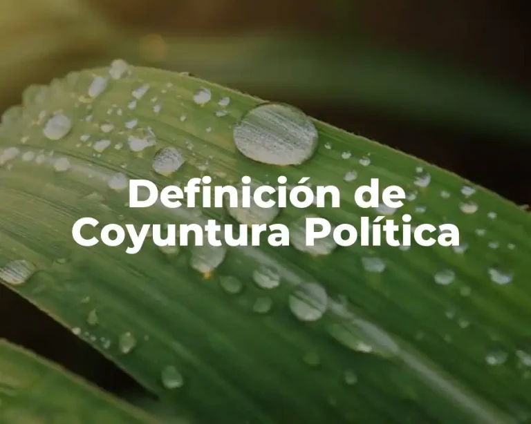 Definición de Coyuntura Política