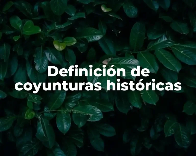 Definición de coyunturas históricas