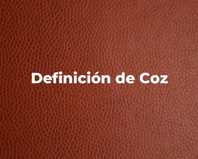 Definición de Coz