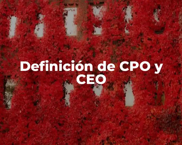 Definición de CPO y CEO