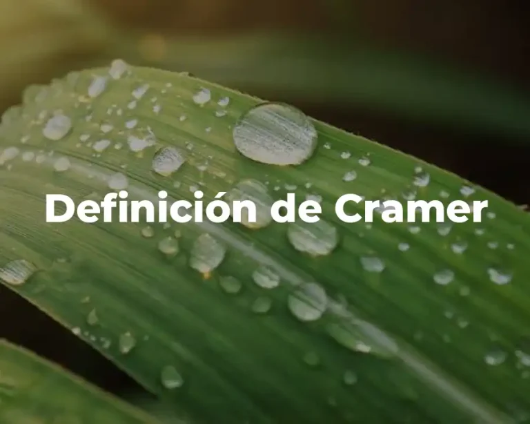 Definición de Cramer