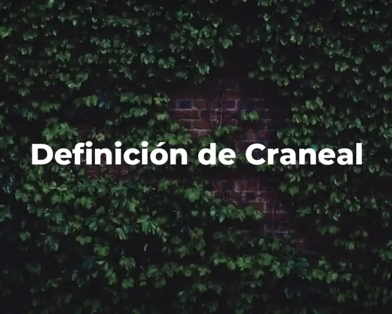 Definición de Craneal