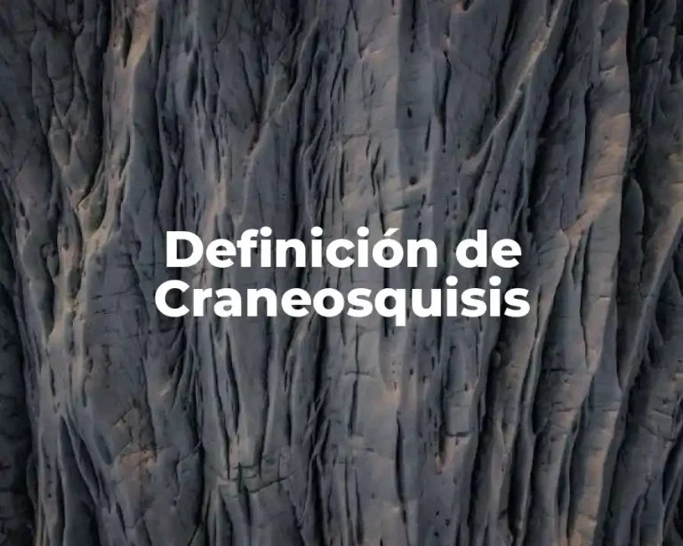 Definición de Craneosquisis