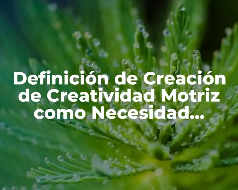 Definición de Creación de Creatividad Motriz como Necesidad Educativa
