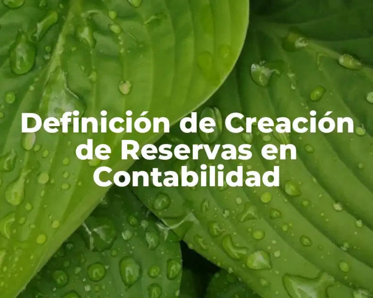 Definición de Creación de Reservas en Contabilidad
