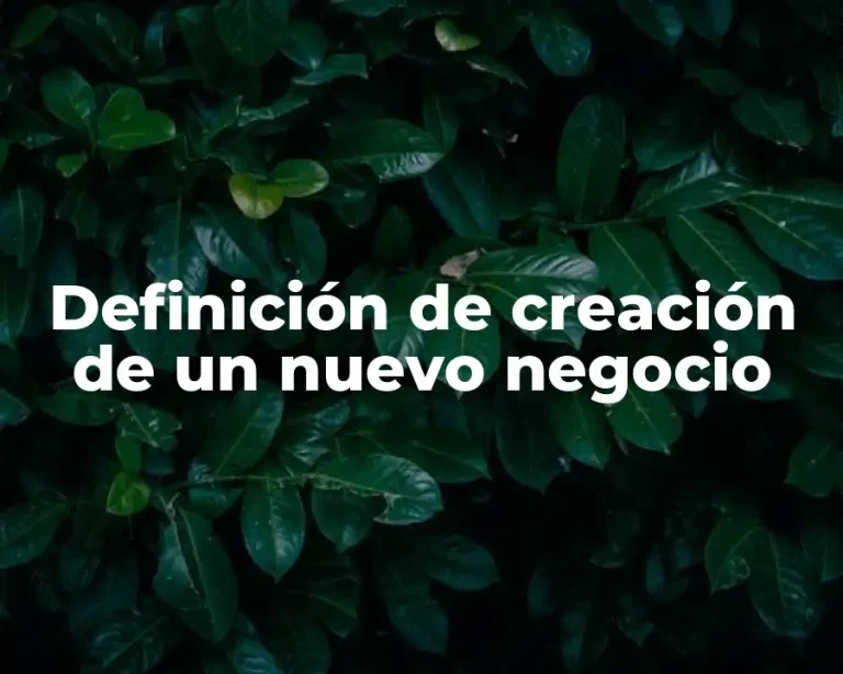 Definición de creación de un nuevo negocio