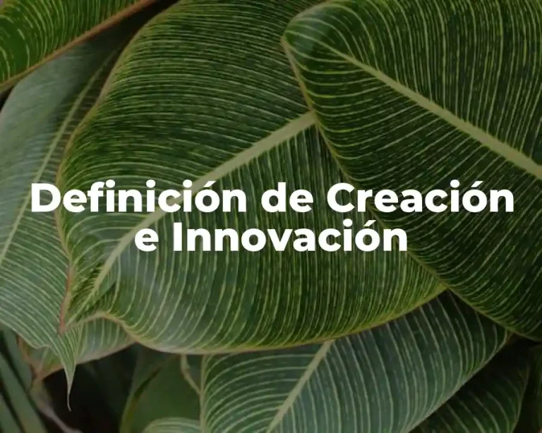 Definición de Creación e Innovación