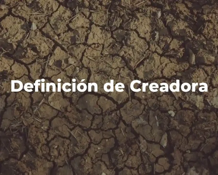 Definición de Creadora
