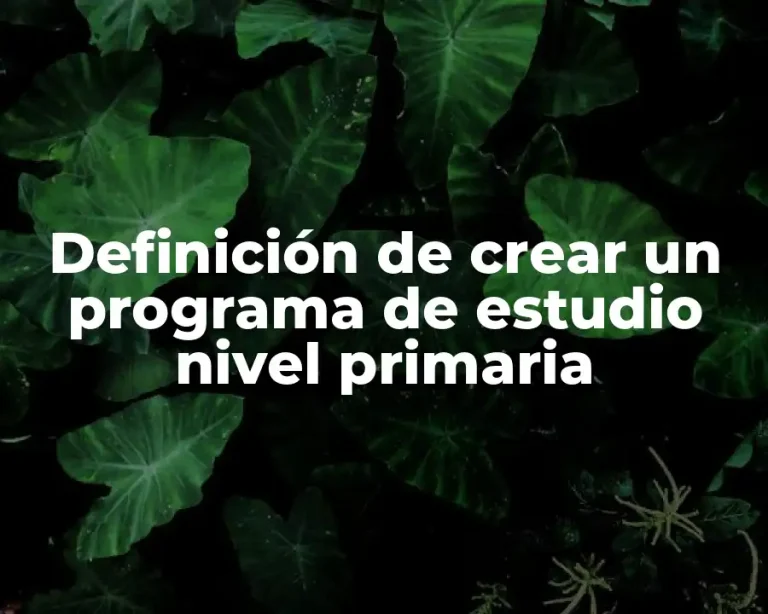 Definición de crear un programa de estudio nivel primaria