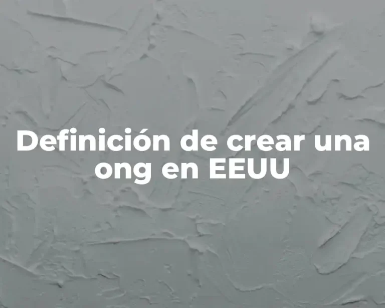 Definición de crear una ong en EEUU