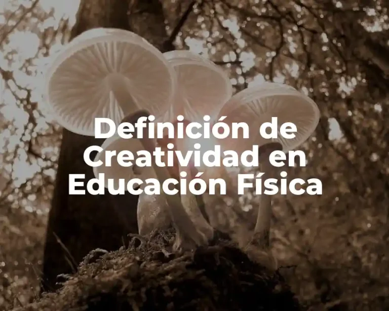 Definición de Creatividad en Educación Física