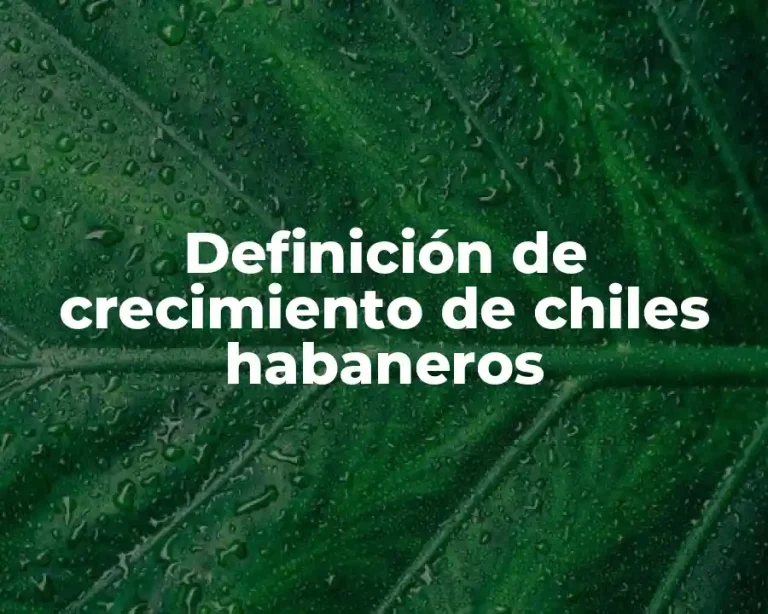 Definición de crecimiento de chiles habaneros