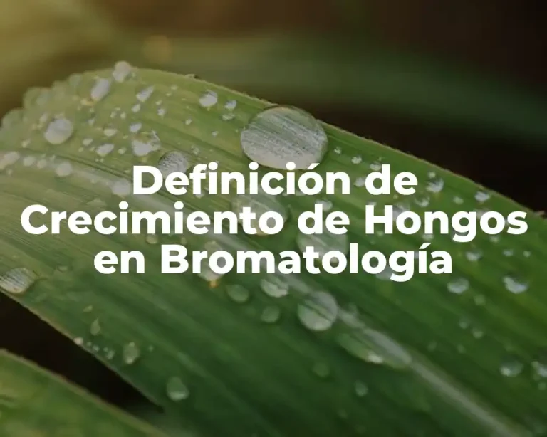 Definición de Crecimiento de Hongos en Bromatología