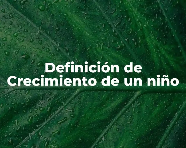 Definición de Crecimiento de un niño