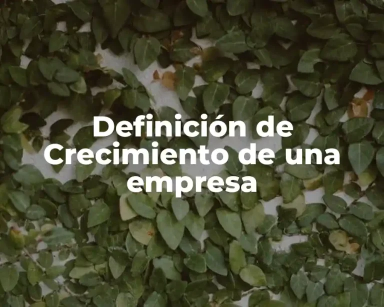 Definición de Crecimiento de una empresa