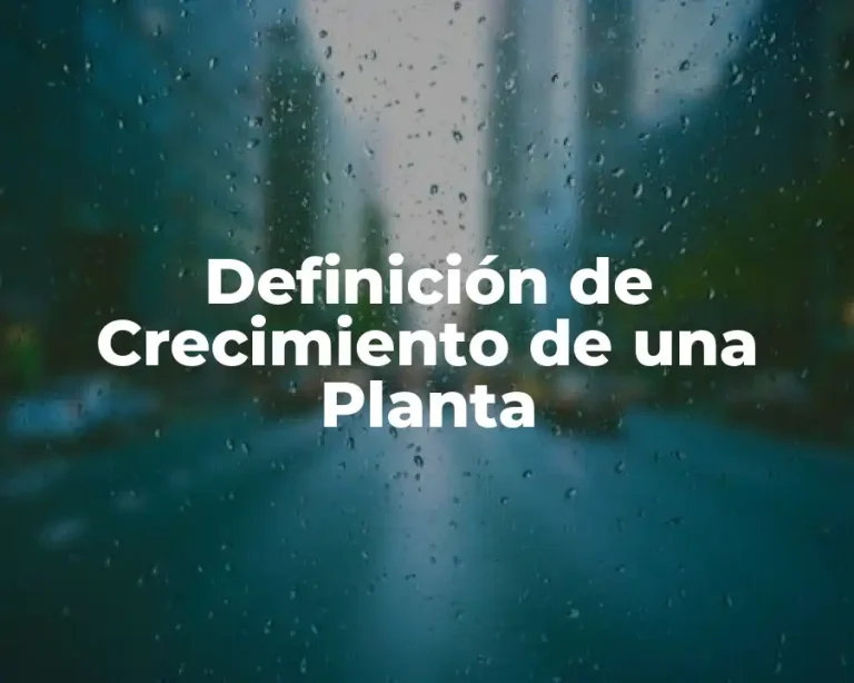 Definición de Crecimiento de una Planta