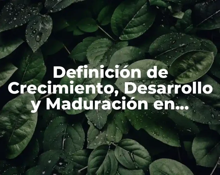 Definición de Crecimiento, Desarrollo y Maduración en Psicología
