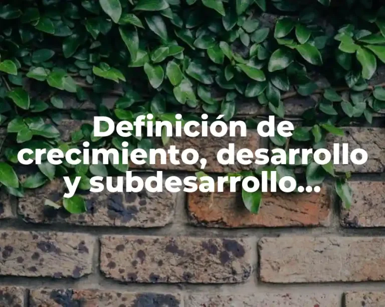 Definición de crecimiento, desarrollo y subdesarrollo económico