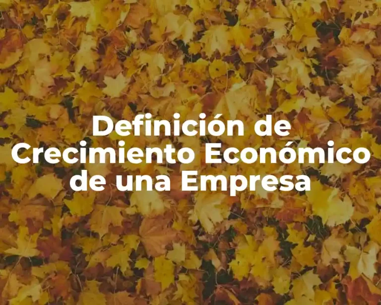 Definición de Crecimiento Económico de una Empresa