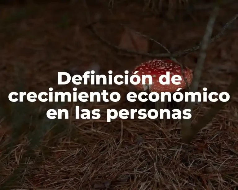 Definición de crecimiento económico en las personas