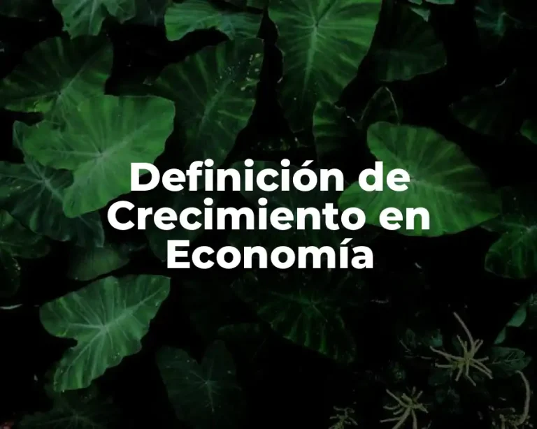 Definición de Crecimiento en Economía