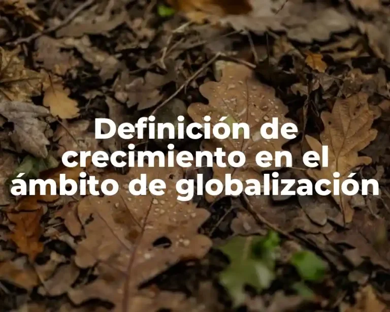 Definición de crecimiento en el ámbito de globalización