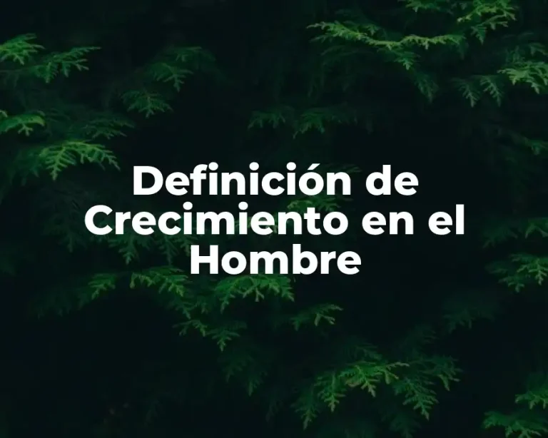 Definición de Crecimiento en el Hombre