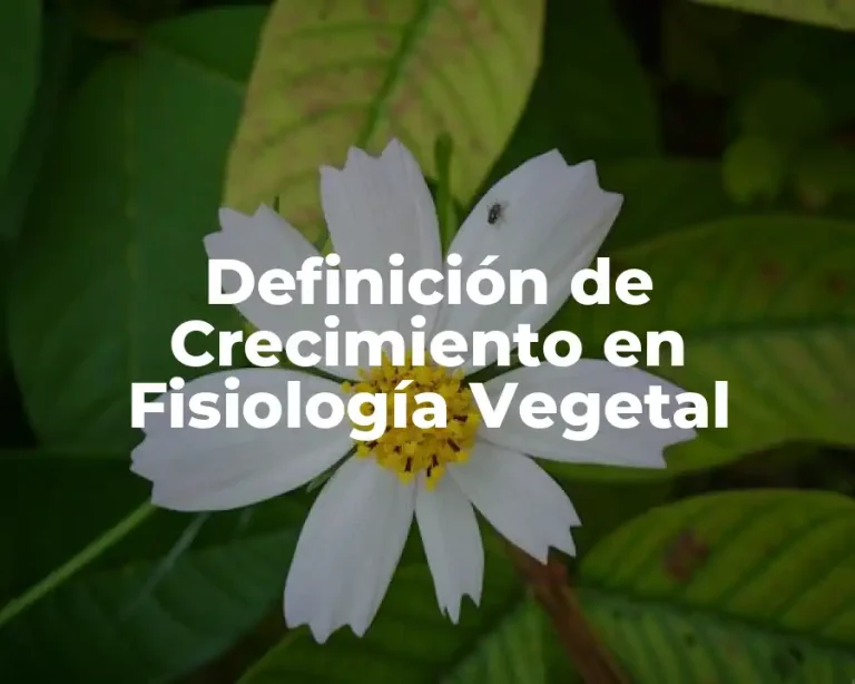 Definición de Crecimiento en Fisiología Vegetal