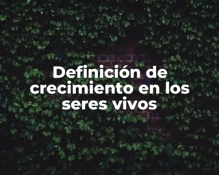 Definición de crecimiento en los seres vivos