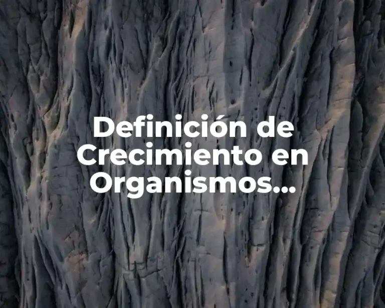 Definición de Crecimiento en Organismos Multicelulares