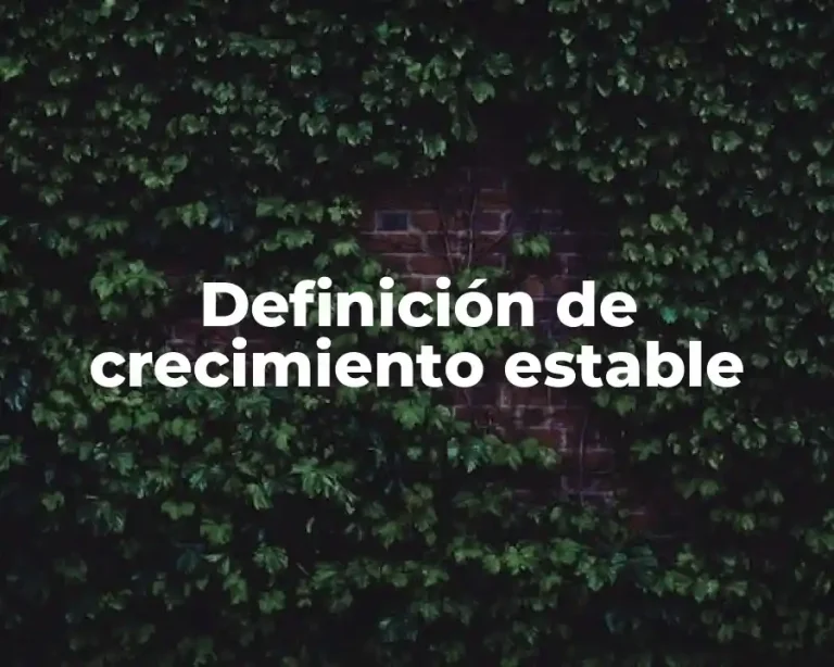 Definición de crecimiento estable
