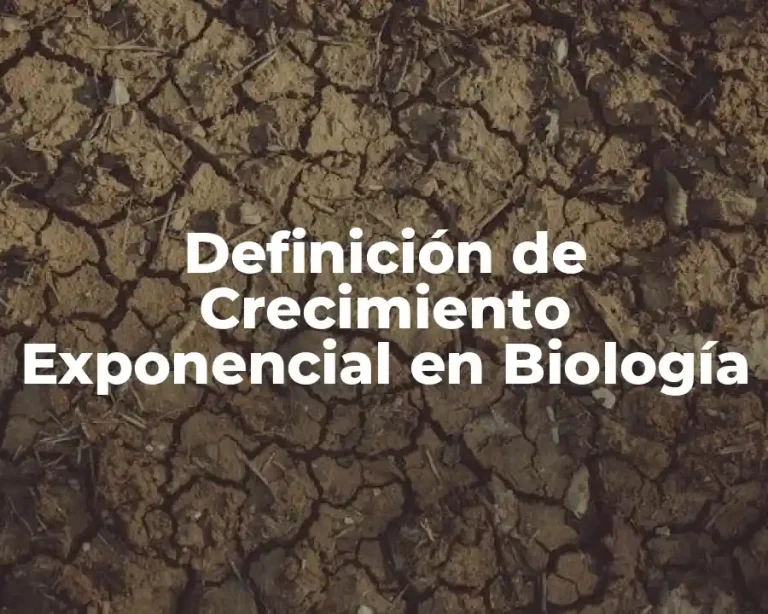 Definición de Crecimiento Exponencial en Biología